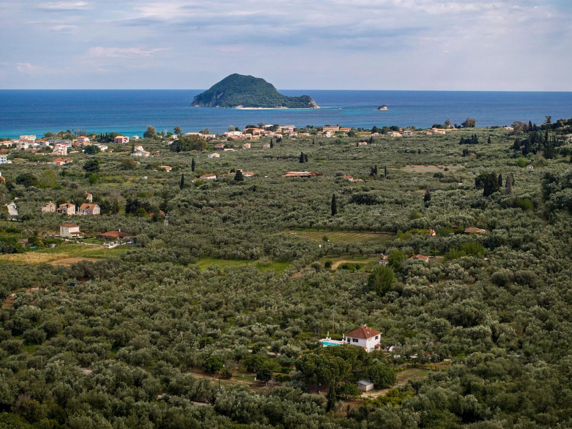 Villa Lola - 3 Bedrooms & Private Pool Lithakia  Екстериор снимка